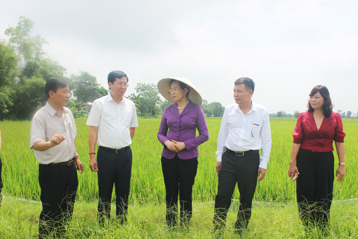 thuc-te.jpg